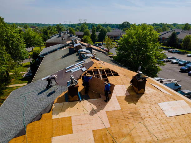 Best Roof Restoration Services  in Horse Pasture, VA