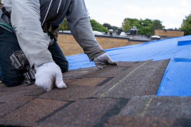 Best Roof Gutter Cleaning  in Horse Pasture, VA