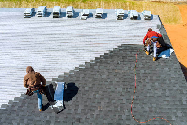 Best Roof Maintenance Services  in Horse Pasture, VA
