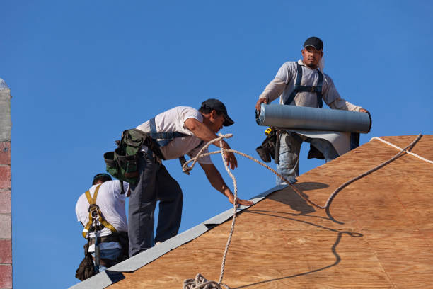 Best Roof Leak Repair  in Horse Pasture, VA