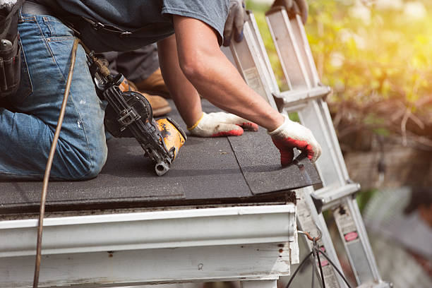 Best Storm Damage Roof Repair  in Horse Pasture, VA