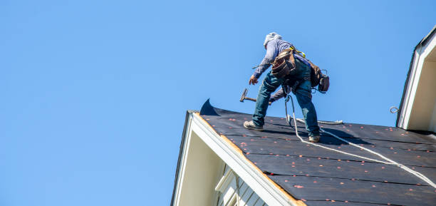 Best Local Roofing Companies  in Horse Pasture, VA
